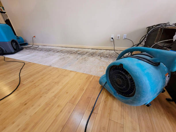 Professional Basement Flood Cleanup technician working in Triangle, VA